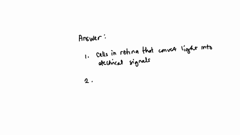 36-mulliple-choice-2-points-theis-the-brain-area-that-receives-visual-information-from-the-retinas-of-the-cye-for-the-special-sense-of-sight-photoreceptor-frontal-eye-field-primary-somatosensory-corte