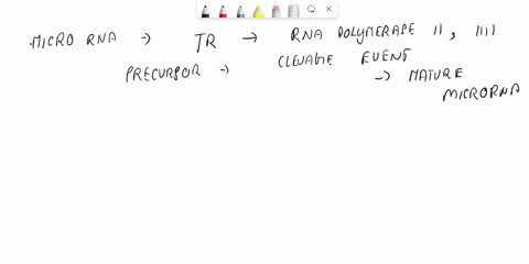 how-are-micrornas-synthesized-and-how-do-micrornas-regulate-mrna-translation-also-what-is-translational-control-71357