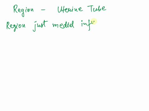 match-the-region-of-the-uterine-tube-with-its-description-region-just-medial-to-infundibulum-click-to-selectv-extends-medially-from-ampulla-click-to-select-continuous-with-uterine-wall-click-53598