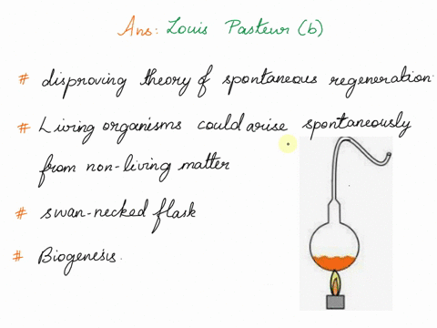 this-scientist-disproved-the-theory-of-spontaneous-generation-robert-hooke-louis-pasteur-robert-koch-antonie-van-leeuwenhoek-20453