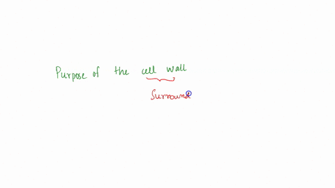 what-is-the-purpose-of-the-cell-wall-a-regulate-the-flow-of-materials-b-prevent-intruders-from-entering-the-cell-c-isolate-and-protect-the-cells-contents-d-support-and-protection-e-facilitat-60023
