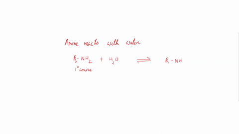 what-is-produced-when-an-amine-reacts-with-water-a-primary-alcohol-and-ammonia-an-amide-and-a-hydrogen-h-ion-an-ammonium-ion-and-a-hydroxide-oh-ion-2-what-is-produced-when-an-amine-reacts-wi-84234