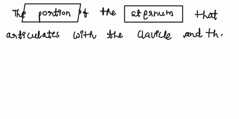 which-portion-of-the-sternum-articulates-with-the-clavicle-and-the-first-pair-of-ribs-jugular-notch-xiphoid-process-acromion-manubrium-which-of-the-following-muscles-functions-to-elevate-the-78777