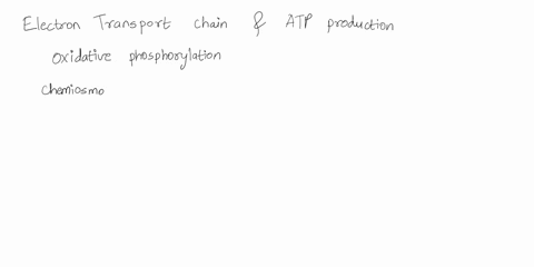 question-4-1-point-the-atp-produced-in-conjunction-with-the-electron-transport-chain-is-generated-by-oa-electron-transport-b-chemiosmosis_-c-photophosphorylation_-d-substrate-level-phosphory-33863