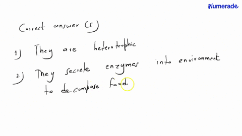 how-does-personality-psychology-relate-to-the-biological-basis-of-behavior