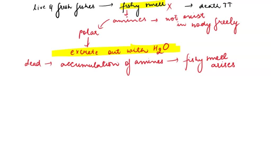 SOLVED The fishy smell of fish arises from amines in the fish and when