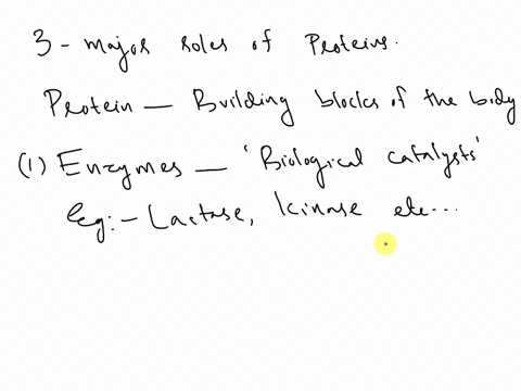 what-are-three-major-roles-of-proteins-57444