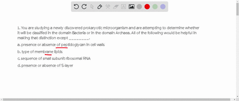 1-you-are-studying-a-newly-discovered-prokaryotic-microorganism-and-are-attempting-to-determine-whether-it-will-be-classified-in-the-domain-bacteria-or-in-the-domain-archaea-all-of-the-follo-17735