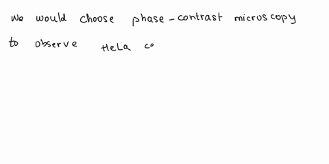 hrickc-7-micio-ccpy-which-tpc-microscon-would-vou-chdoso-coranic-acidne-antn-providcvqm-neasonine-nowthatvou-have-made-vour-cuitute-med-oo-smnull-you-do-want-io-observe-vour-helacells-morpho-16945