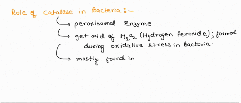why-is-catalase-an-important-enzyme-for-bacteria-to-possess-what-does-it-protect-against-why-would-only-aerobic-bacteria-produce-catalase-enzyme-60235