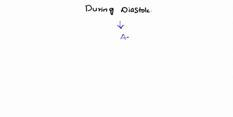 during-diastole-the-av-valves-are-open-the-av-valves-are-closed-the-semilunar-valves-are-open-the-ventricles-contract-previous-69973