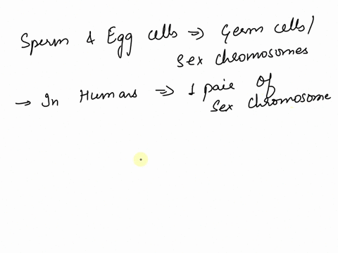 question-24-sperm-and-eggs-cells-are-and-are-gametes-haploid-diploid-diploid-haploid-gametes-gametes-diploid-haploid-sex-chromosomes-haploid-autosomes-in-contrast-all-other-cells-are-63977