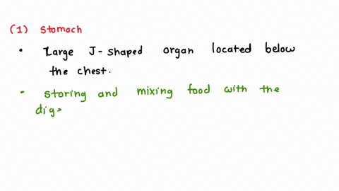 a-describe-the-functions-of-stomach-and-small-intestine-in-the-human-digestive-system-70422