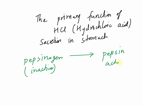 the-primary-functions-of-hcl-secretion-in-the-stomach-are____________-a-conversion-of-pepsinogen-to-pepsin-and-having-antimicrobial-function-b-stimulation-of-intrinsic-factor-secretion-conve-35831
