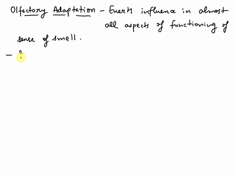 where-does-olfactory-adaptation-occur-a-olfactory-receptor-o-b-along-the-olfactory-pathway-to-the-brain-o-c-olfactory-epithelium-d-sustentacular-cells-40471