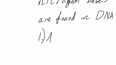 what-four-nitrogen-bases-are-found-in-dna