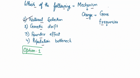 which-of-the-following-mechanisms-of-change-in-gene-frequencies-is-responsible-for-the-antibiotic-resistance-of-e-coli-in-this-experiment-multiple-choice-natural-selection-genetic-drift-foun-22476