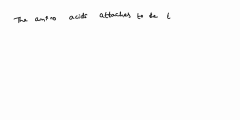the-amino-acid-attaches-to-the-trna-at-its-a-5-end-b-3-end-c-anti-codon-site-d-dhu-loop-ncert-class-xii-biology-main-course-book-chapter-6-molecular-basis-of-inheritance-42735