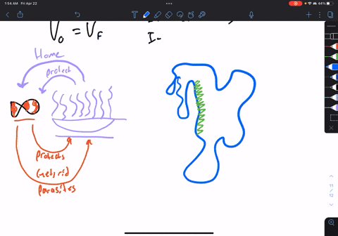 1-what-symbiotic-relationships-are-present-in-a-coral-reef-ecosystem2-commensalism-can-be-a-form-of-parasitism-explain-why-and-cite-an-example-00213