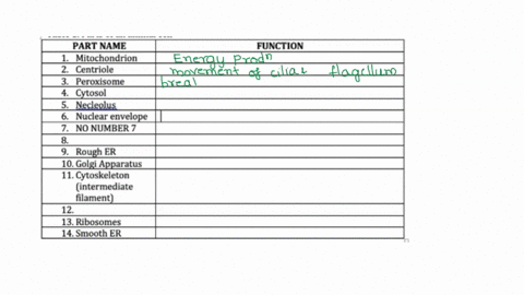 part-one-label-the-animal-cell-by-typing-into-the-table-below-give-function-for-each-of-the-labeled-pan_-410-points-table-parts-ofan-animal-cell-part-name-mitochondrion-2_centriole-peroxisom-00151