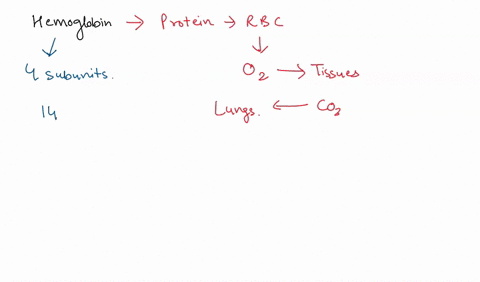 the-oxygen-binding-pigments-involved-in-human-oxygen-transport-group-of-answer-choices-are-complex-proteins-that-contain-iron-bind-reversibly-to-oxygen-pick-up-dissolved-oxygen-from-the-bloo-54584