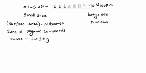 1-compare-and-contrast-prokaryotic-and-eukaryotic-cell-sizes-what-are-the-advantages-of-having-internal-organelles-versus-not-having-organelles-2-compare-and-contrast-prokaryote-and-eukaryot-12155