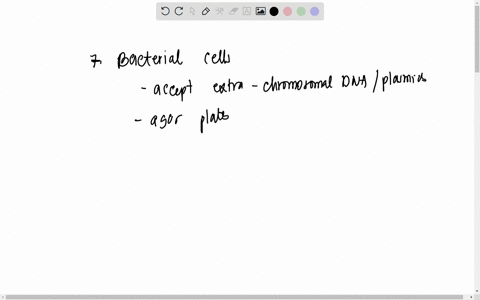 q7why-did-you-streak-the-competent-cells-on-your-plates-before-attempting-transformation-q8why-did-you-streak-the-cells-that-you-transformed-onto-the-amp-plate-what-does-it-mean-if-they-didn-66825