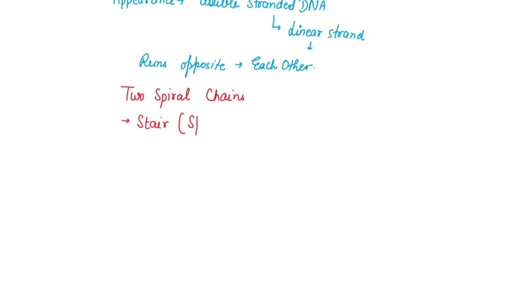 SOLVED: Think about the structure of DNA in its most common B-form ...