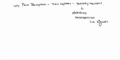 complete-the-sentences-describing-sensory-receptors-soft-sensory-warm-tactile-viscera-lamellated-free-nerve-endings-motor-sensory-receptors-for-the-general-senses-can-be-structurally-differe-37416