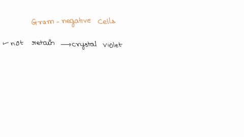 what-color-are-gram-negative-cells-after-staining-with-crystal-violet-and-grams-iodine-if-you-were-to-examine-them-at-this-point-86465