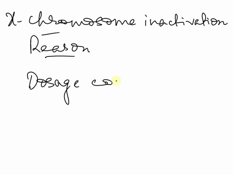 what-is-thought-to-maintain-x-chromosome-inactivation-a-option-a-both-repressive-histone-modifications-and-dna-methylation-b-option-b-rna-inactivation-c-option-c-localized-dna-denaturation-d-15036