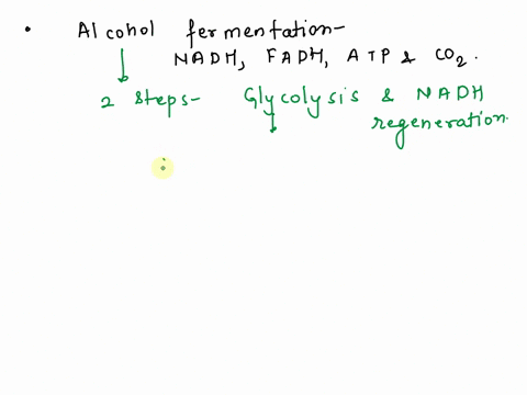 alcohol-fermentation-is-occurring-with-a-yeast-this-organism-of-yeast-has-consumed-6-molecules-of-glucose-write-for-me-how-much-nadh-fadh-atpand-c02-are-produced-64695