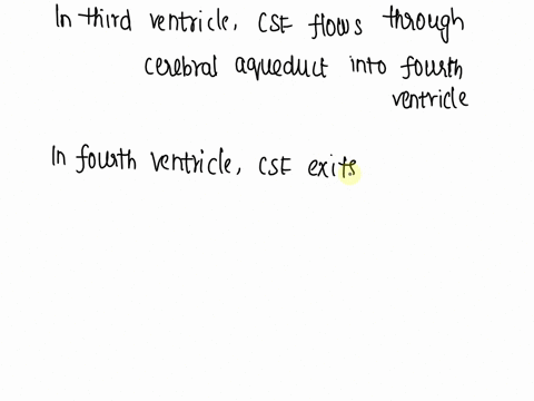 draw-a-flow-chart-or-diagram-below-that-shows-where-csf-is-made-what-structures-make-the-csfand-how-it-flows-around-the-brain-and-spinal-cord-take-the-csf-from-its-production-sites-to-where-04337