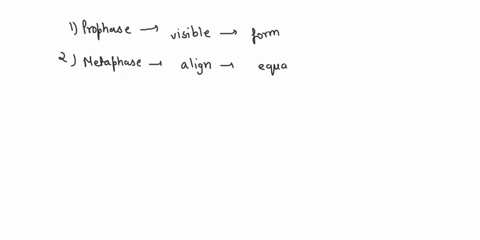 in-which-phase-of-mitosis-do-the-sister-chromatids-get-pulled-apart-to-opposite-ends-of-the-cell-57784