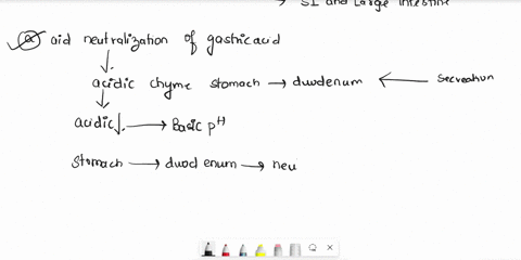 question99-the-secretion-from-brunners-glands-oaids-in-the-neutralisation-of-gastric-acid-oconsists-of-hydrochloric-acid-and-intrinsic-factor-oincreases-following-stimulation-by-cholecystoki-58305