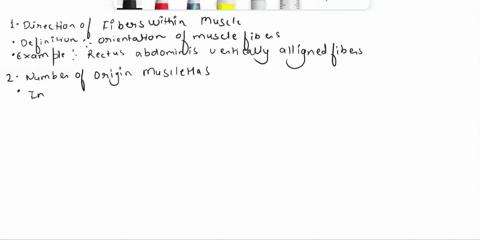 give-a-short-definition-and-provides-examples-of-the-following-muscles-naming-of-muscles-many-muscles-are-named-descriptively-their-names-will-include-words-that-identify-or-more-of-the-foll-26555