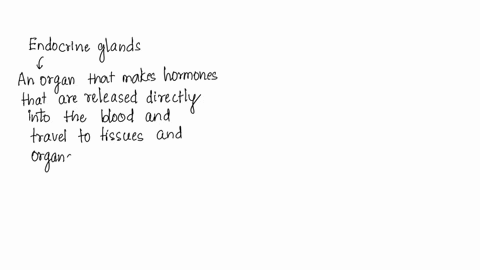 which-of-the-following-has-both-endocrine-and-exocrine-activity-the-pituitary-glands-parathyroid-glands-the-pancreas-adrenal-glands-77571