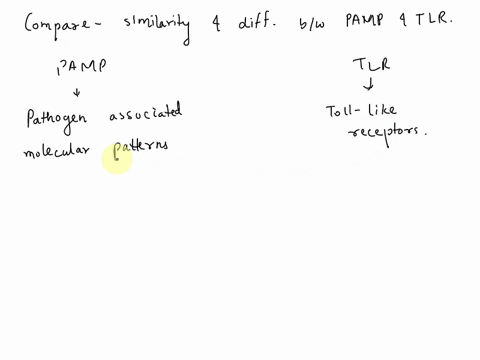 briefly-compare-and-contrast-tlr-versus-pamp-indicate-one-key-similarity-and-one-key-difference-46235