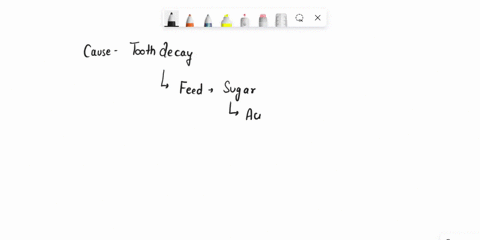 what-is-the-likely-cause-of-tooth-decay-a-a-lysogenic-virus-infecting-the-living-cells-of-the-tooth-59565