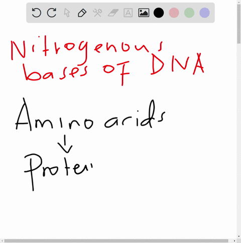 the-amino-acid-sequence-that-makes-up-a-protein-is-determined-by-19565