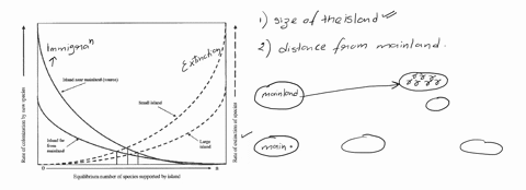 a92-island-life-the-theory-of-island-biogeography-describes-the-expected-number-of-species-to-be-found-at-equilibrium-for-different-sizes-and-distances-of-island-from-a-mainland-how-do-organ-54176