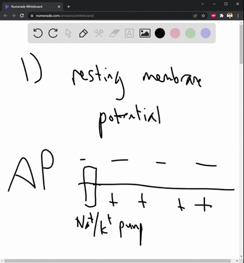 1-at-the-equilibrium-potential-what-are-the-two-forces-that-keep-ions-in-balance-ch2-electrical-transmission-a-concentration-gradient-electrostatic-gradient-b-nak-pump-threshold-c-nak-pump-e-70496