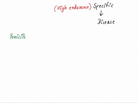 antimicrobial-drug-mode-of-action-penicillin-affects-peptidoglycan-to-cause-cell-wall-damage-and-lysis-chloramphenicol-inhibits-protein-synthesis-by-binding-to-70s-ribosomes-binds-to-ergoste-98183