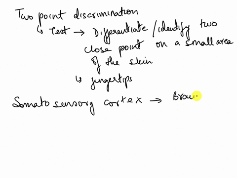 which-of-the-following-are-associated-with-good-two-point-discrimination-at-the-fingertips-as-compared-to-for-example-the-small-of-the-back-larger-amount-of-somatosensory-cortex-representing-44838