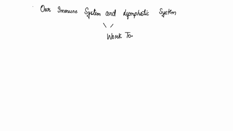 explain-the-relationship-between-lymphatic-system-and-the-immune-system-21785