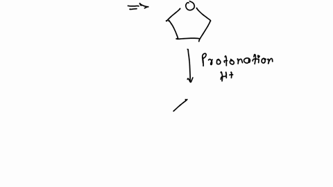 use-curved-arrows-to-draw-the-protonated-form-of-each-lewis-base-below-96637