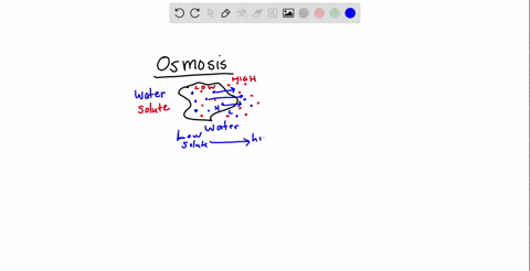 question-22-osmosis-describes-the-movement-of-water-from-an-area-of-lower-water-concentration-t0-an-area-of-higher-water-concentration-across-selectively-permeable-membrane-the-movement-of-w-26777