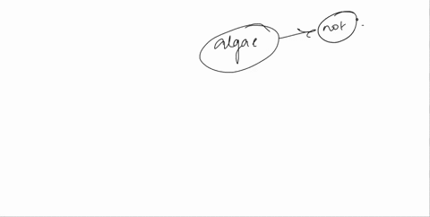 question-13-all-of-the-following-characteristic-of-algae-except-which-one-of-the-following-some-have-cell-walls-made-out-of-chitin-most-are-photoautotrophs-some-produce-harmful-toxins-somlan-12617