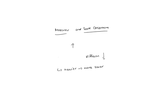 discuss-how-molecular-weight-and-solute-concentrate-affects-diffusion-rate