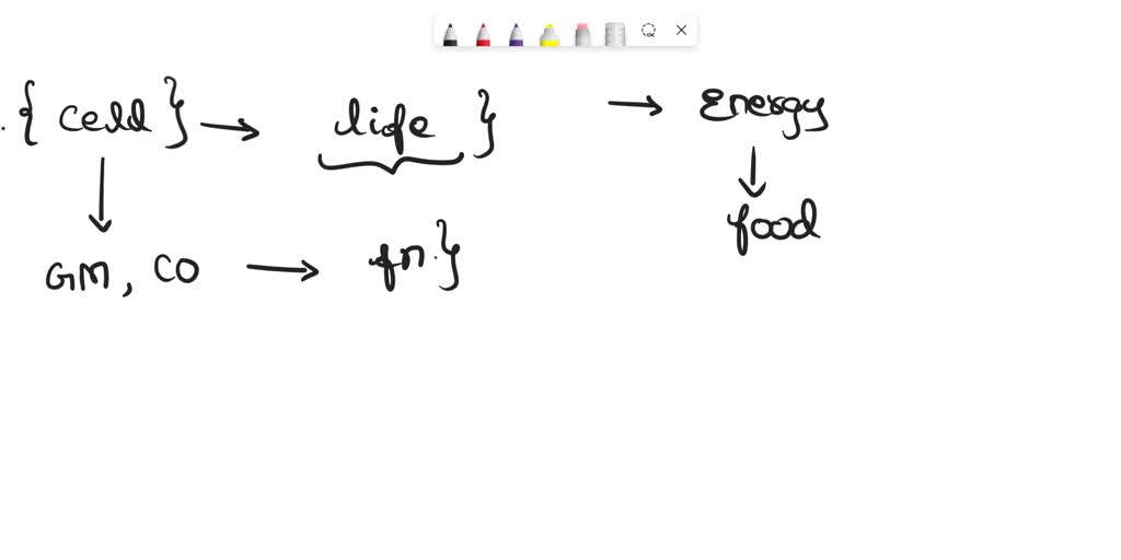 solved-texts-define-henry-s-law-differentiate-external-respiration